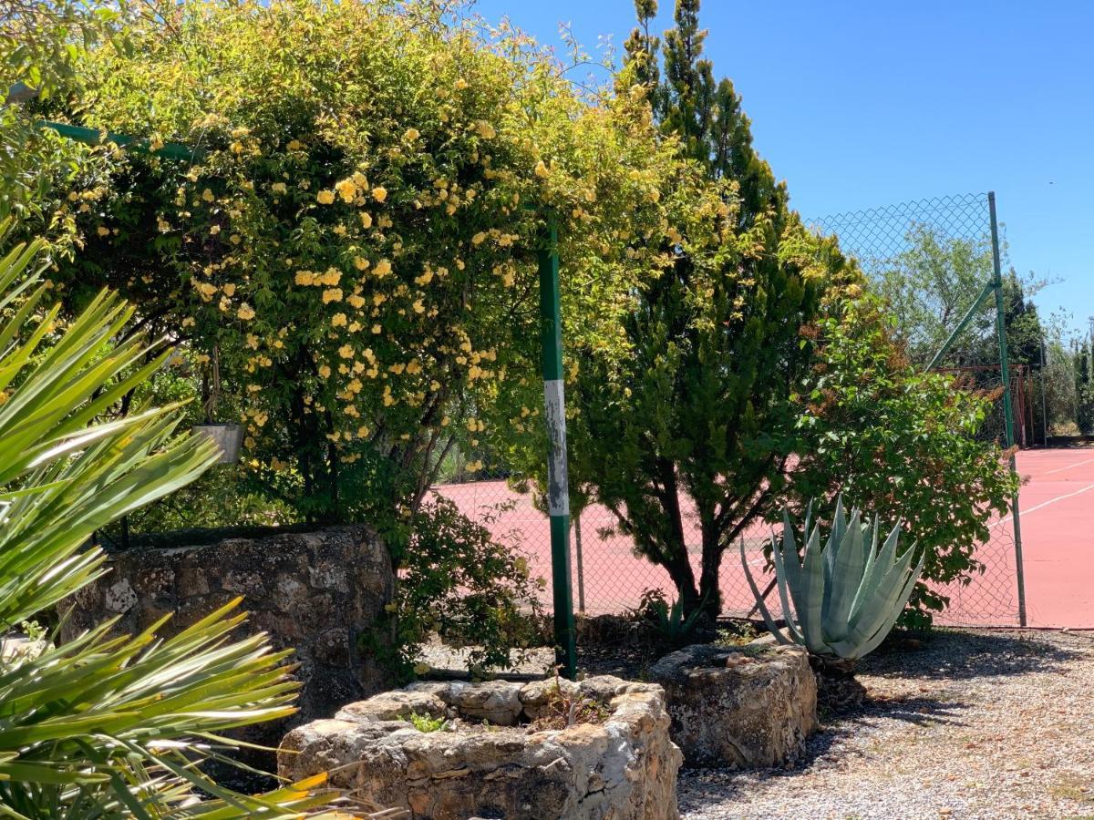 Torcales Del Lobo Apartamentos Rurales Pozo Alcón Dış mekan fotoğraf